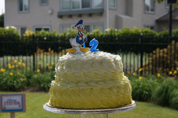 Donald Duck birthday cake // ombre birthday cake